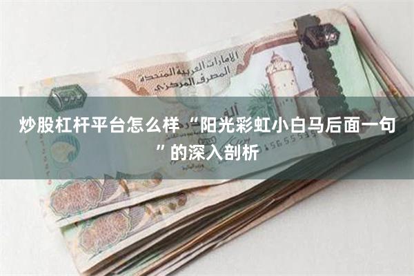 炒股杠杆平台怎么样 “阳光彩虹小白马后面一句”的深入剖析