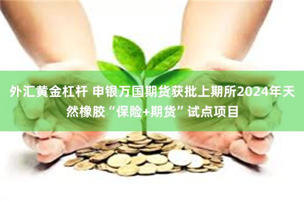 外汇黄金杠杆 申银万国期货获批上期所2024年天然橡胶“保险+期货”试点项目