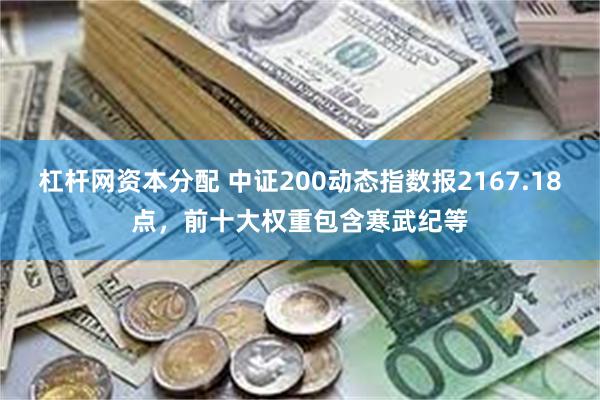 杠杆网资本分配 中证200动态指数报2167.18点，前十大权重包含寒武纪等