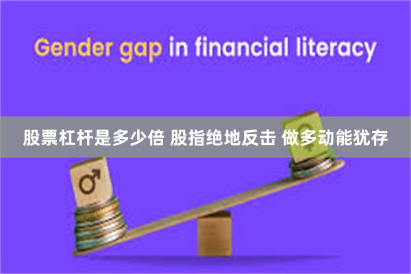 股票杠杆是多少倍 股指绝地反击 做多动能犹存