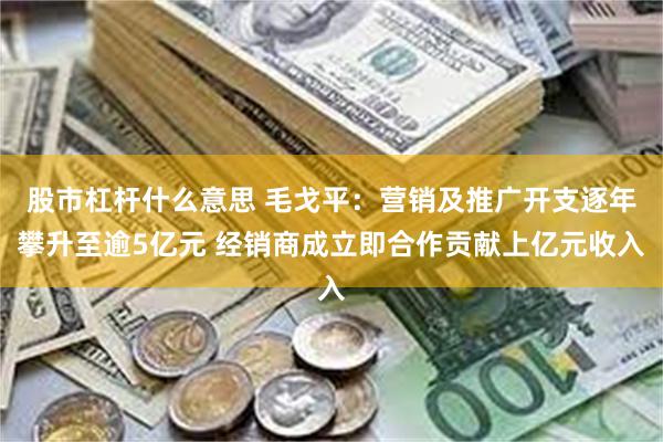 股市杠杆什么意思 毛戈平：营销及推广开支逐年攀升至逾5亿元 经销商成立即合作贡献上亿元收入