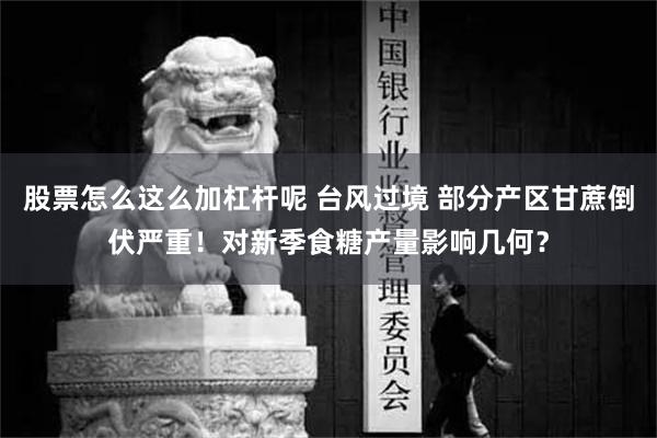 股票怎么这么加杠杆呢 台风过境 部分产区甘蔗倒伏严重！对新季食糖产量影响几何？
