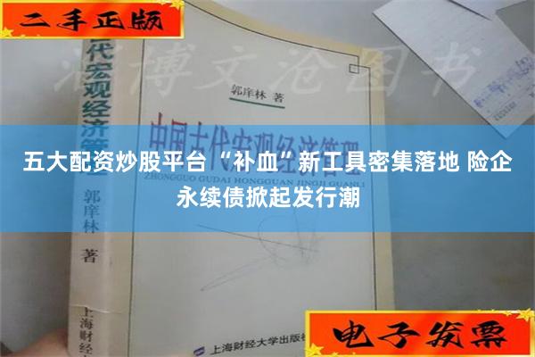 五大配资炒股平台 “补血”新工具密集落地 险企永续债掀起发行潮