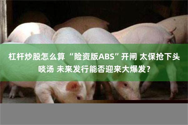 杠杆炒股怎么算 “险资版ABS”开闸 太保抢下头啖汤 未来发行能否迎来大爆发？