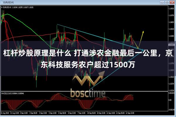 杠杆炒股原理是什么 打通涉农金融最后一公里，京东科技服务农户超过1500万