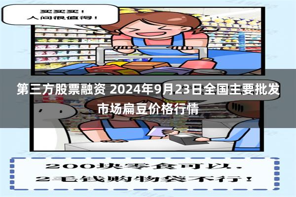 第三方股票融资 2024年9月23日全国主要批发市场扁豆价格行情