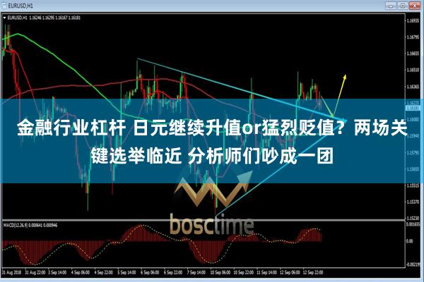 金融行业杠杆 日元继续升值or猛烈贬值？两场关键选举临近 分析师们吵成一团