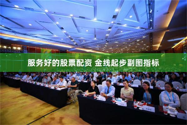 服务好的股票配资 金线起步副图指标