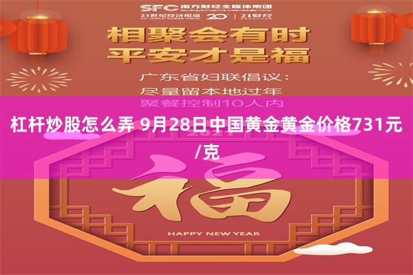 杠杆炒股怎么弄 9月28日中国黄金黄金价格731元/克