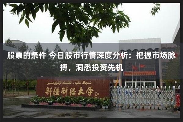 股票的条件 今日股市行情深度分析：把握市场脉搏，洞悉投资先机