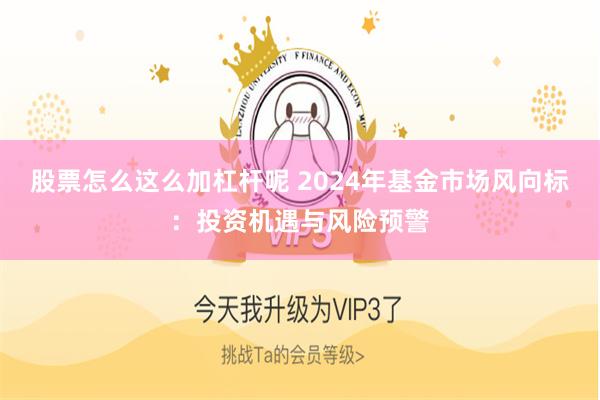 股票怎么这么加杠杆呢 2024年基金市场风向标：投资机遇与风险预警