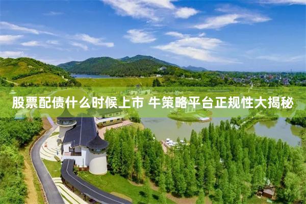 股票配债什么时候上市 牛策略平台正规性大揭秘