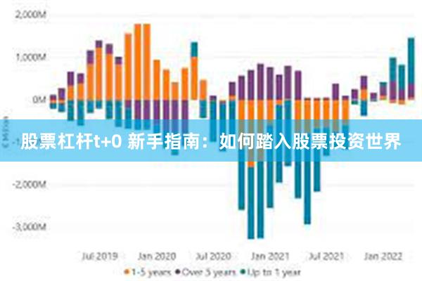 股票杠杆t+0 新手指南：如何踏入股票投资世界