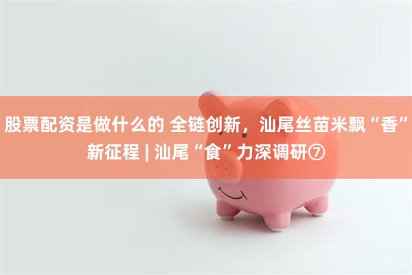 股票配资是做什么的 全链创新，汕尾丝苗米飘“香”新征程 | 汕尾“食”力深调研⑦