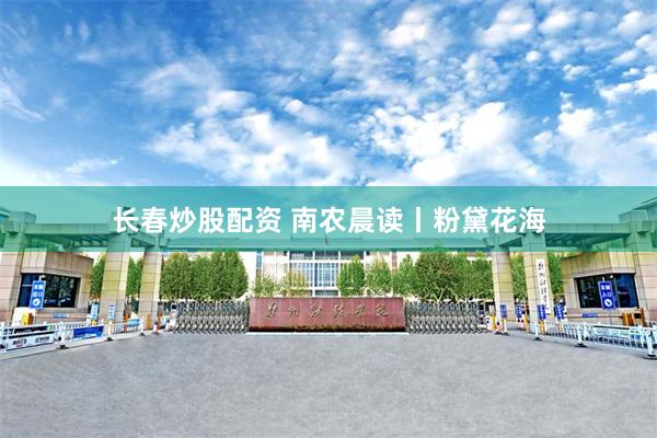 长春炒股配资 南农晨读丨粉黛花海