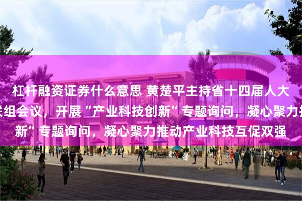 杠杆融资证券什么意思 黄楚平主持省十四届人大常委会第十三次会议联组会议，开展“产业科技创新”专题询问，凝心聚力推动产业科技互促双强