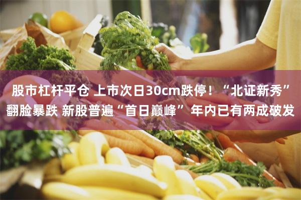 股市杠杆平仓 上市次日30cm跌停！“北证新秀”翻脸暴跌 新股普遍“首日巅峰” 年内已有两成破发