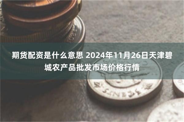 期货配资是什么意思 2024年11月26日天津碧城农产品批发市场价格行情
