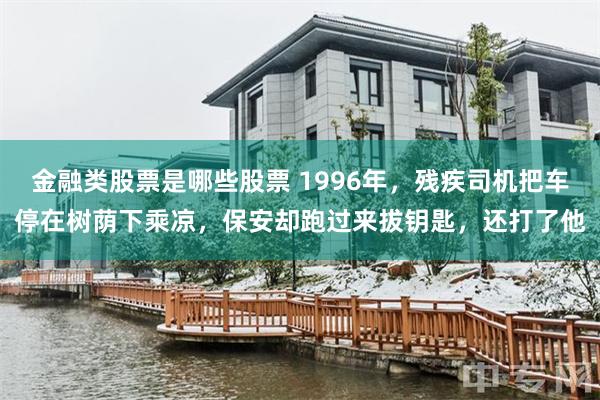 金融类股票是哪些股票 1996年，残疾司机把车停在树荫下乘凉，保安却跑过来拔钥匙，还打了他