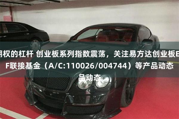 期权的杠杆 创业板系列指数震荡，关注易方达创业板ETF联接基金（A/C:110026/004744）等产品动态