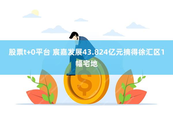 股票t+0平台 宸嘉发展43.824亿元摘得徐汇区1幅宅地