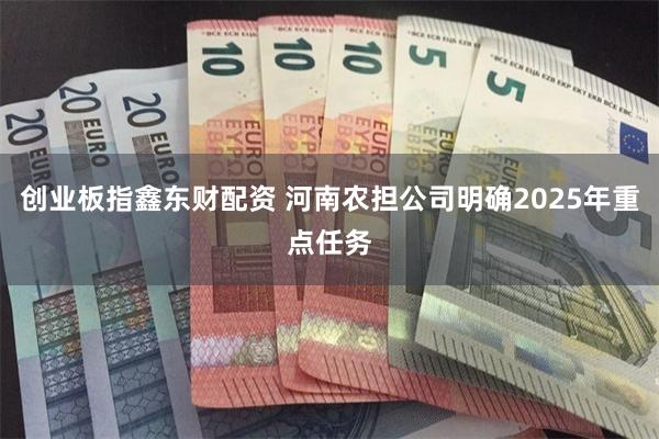 创业板指鑫东财配资 河南农担公司明确2025年重点任务
