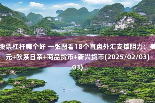 股票杠杆哪个好 一张图看18个直盘外汇支撑阻力：美元+欧系日系+商品货币+新兴货币(2025/02/03)