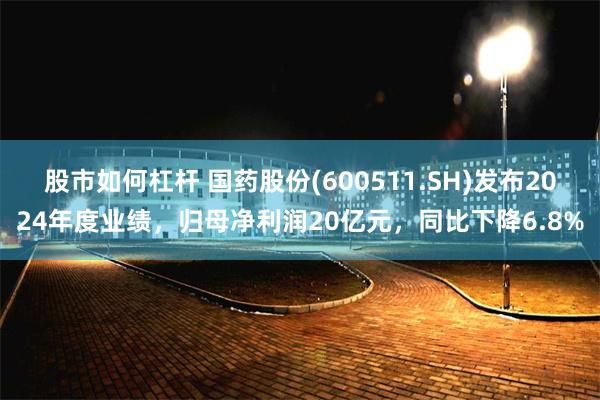 股市如何杠杆 国药股份(600511.SH)发布2024年度业绩，归母净利润20亿元，同比下降6.8%