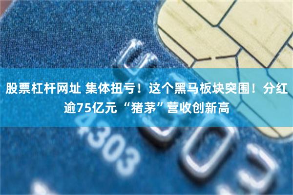 股票杠杆网址 集体扭亏！这个黑马板块突围！分红逾75亿元 “猪茅”营收创新高