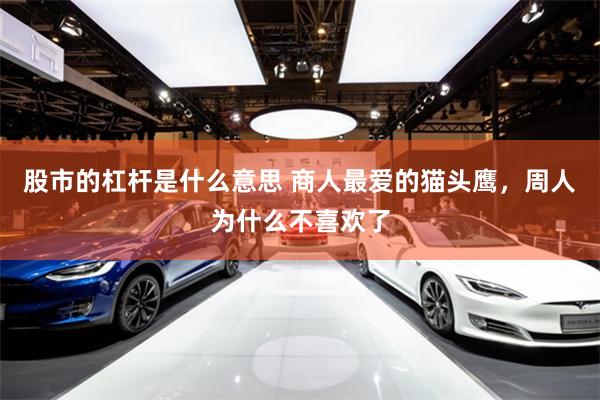 股市的杠杆是什么意思 商人最爱的猫头鹰，周人为什么不喜欢了