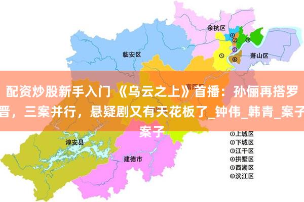 配资炒股新手入门 《乌云之上》首播：孙俪再搭罗晋，三案并行，悬疑剧又有天花板了_钟伟_韩青_案子