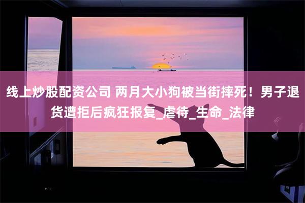 线上炒股配资公司 两月大小狗被当街摔死！男子退货遭拒后疯狂报复_虐待_生命_法律
