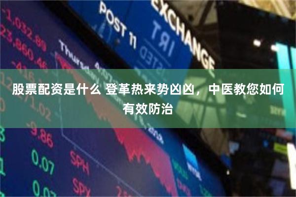股票配资是什么 登革热来势凶凶，中医教您如何有效防治