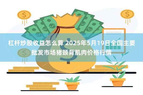 杠杆炒股收益怎么算 2025年5月19日全国主要批发市场猪颈背肌肉价格行情