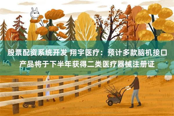 股票配资系统开发 翔宇医疗：预计多款脑机接口产品将于下半年获得二类医疗器械注册证