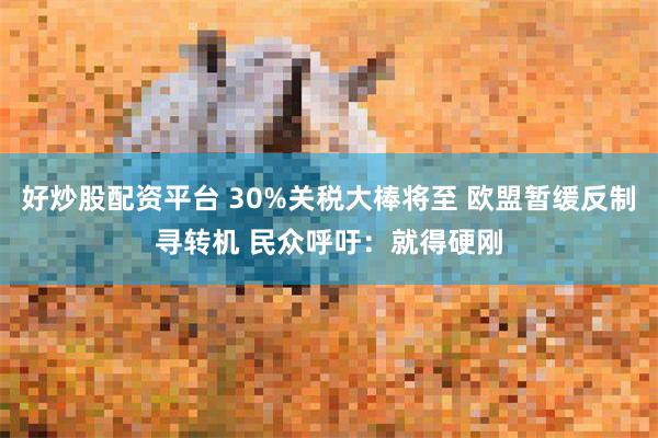 好炒股配资平台 30%关税大棒将至 欧盟暂缓反制寻转机 民众呼吁：就得硬刚