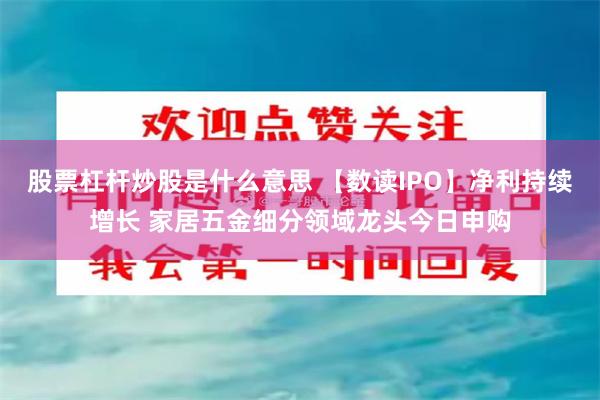 股票杠杆炒股是什么意思 【数读IPO】净利持续增长 家居五金细分领域龙头今日申购