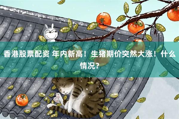 香港股票配资 年内新高！生猪期价突然大涨！什么情况？