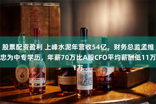股票配资盈利 上峰水泥年营收54亿，财务总监孟维忠为中专学历，年薪70万比A股CFO平均薪酬低11万