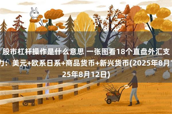 股市杠杆操作是什么意思 一张图看18个直盘外汇支撑阻力：美元+欧系日系+商品货币+新兴货币(2025年8月12日)