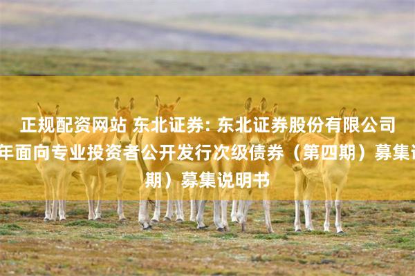 正规配资网站 东北证券: 东北证券股份有限公司2025年面向专业投资者公开发行次级债券(第四期)募集说明书